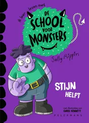 Omslag van De school voor monsters - Stijn helpt