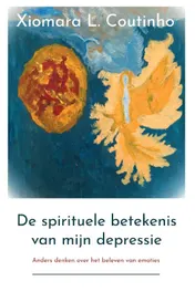 Omslag van De spirituele betekenis van mijn depressie