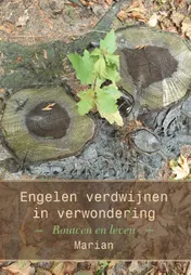 Omslag van Waar engelen verdwijnen in verwondering