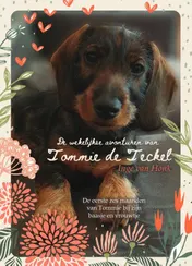Omslag van De wekelijkse avonturen van Tommie de Teckel