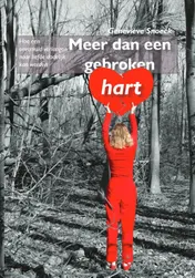 Omslag van Meer dan een gebroken hart