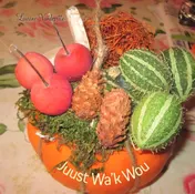 Omslag van Juust Wa 'k Wou