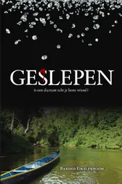 Omslag van Geslepen