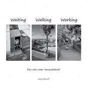 Omslag van Waiting Walking Working