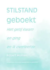 Omslag van Stilstand geboekt
