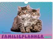 Omslag van Rachael Hale Katten familieplanner - 2024