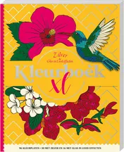 Omslag van Kleurboek XL - Zilver & Glas in lood effecten