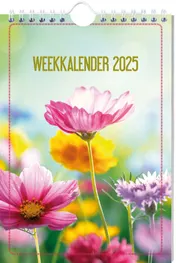 Omslag van 2025