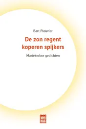 Omslag van De zon regent koperen spijkers