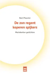 Omslag van De zon regent koperen spijkers