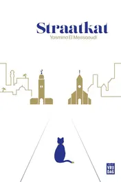 Omslag van Straatkat