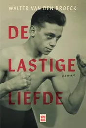 Omslag van De lastige liefde