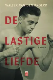 Omslag van De lastige liefde
