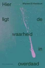 Omslag van Hier ligt de waarheid in overdaad
