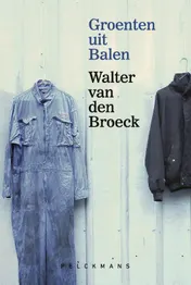 Omslag van Groenten uit Balen