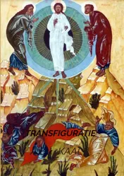 Omslag van TRANSFIGURATIE