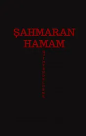 Omslag van Şahmaran Hamam