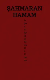 Omslag van Şahmaran Hamam