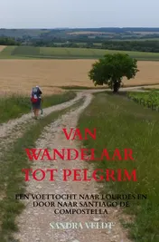 Omslag van VAN WANDELAAR TOT PELGRIM