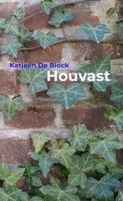 Omslag van Houvast