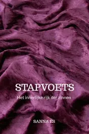 Omslag van Stapvoets