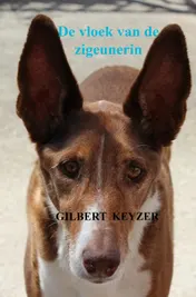 Omslag van De vloek van de zigeunerin