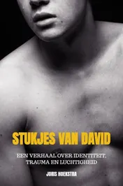 Omslag van Stukjes van David
