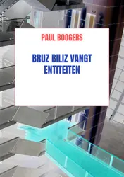 Omslag van Bruz Biliz vangt entiteiten