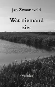 Omslag van Wat niemand ziet