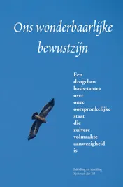 Omslag van Ons wonderbaarlijke bewustzijn