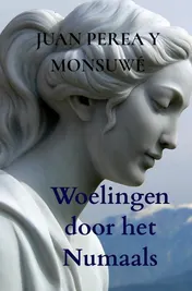 Omslag van Woelingen door het Numaals
