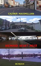 Omslag van Niemand neukt meer