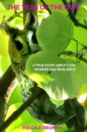 Omslag van The Year of the Owl