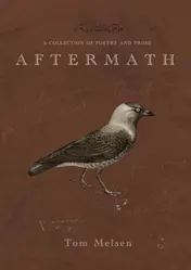 Omslag van Aftermath