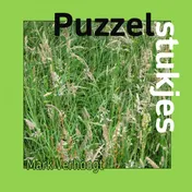 Omslag van Puzzelstukjes