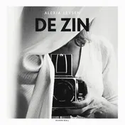 Omslag van De zin