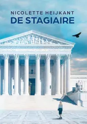 Omslag van De Stagiaire