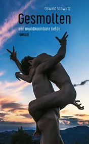 Omslag van Gesmolten