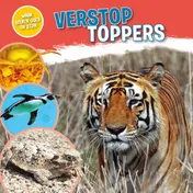 Omslag van Verstoptoppers