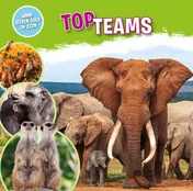 Omslag van Topteams