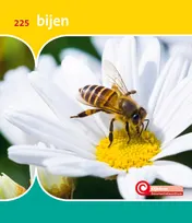Omslag van bijen