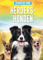 Omslag van Herdershonden