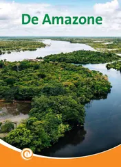 Omslag van De Amazone