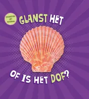 Omslag van Glanst het of is het dof?
