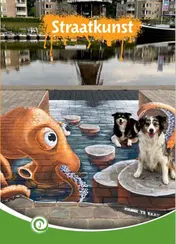Omslag van Straatkunst