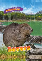 Omslag van Bevers