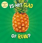 Omslag van Is het glad of ruw?