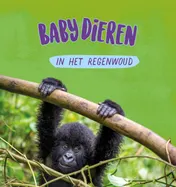 Omslag van Babydieren in het regenwoud