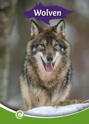 Omslag van Wolven