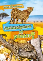Omslag van Jachtluipaard of panter?